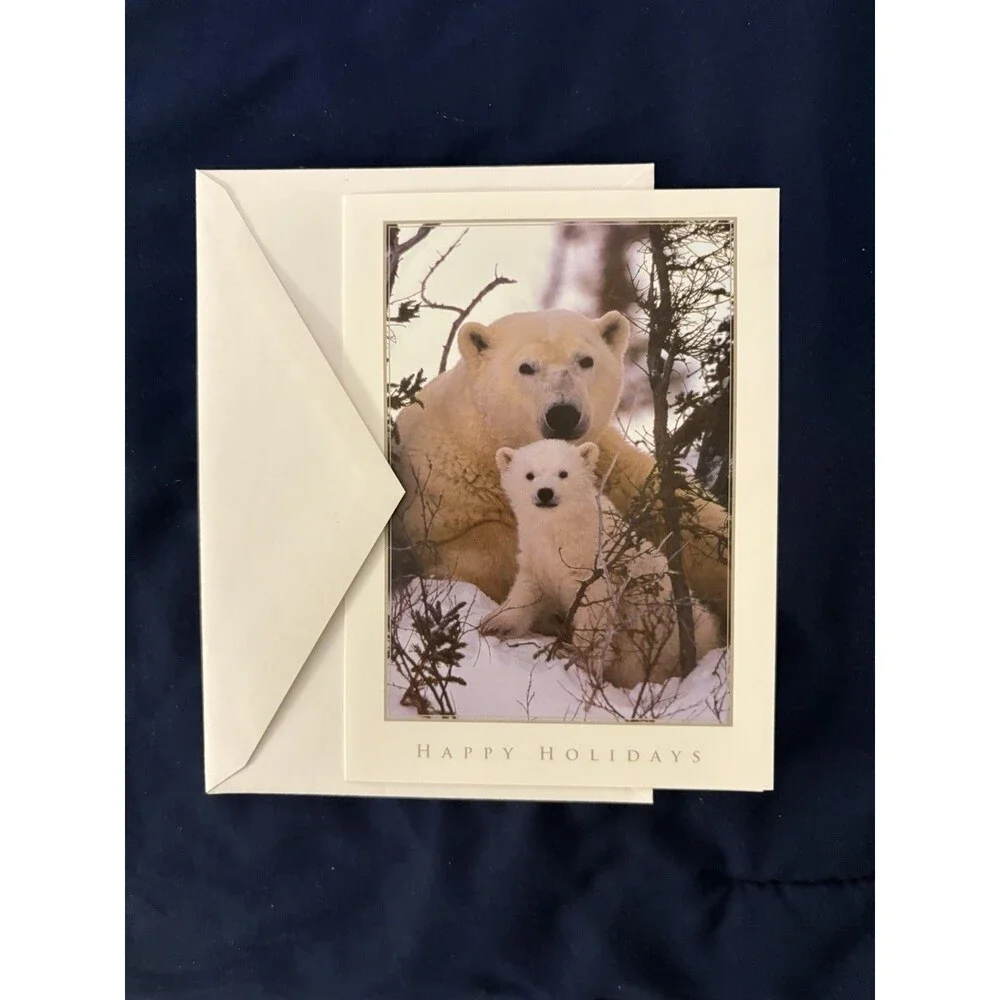 Seasons Greetings Card with White Envelope | Polar Bear design | By Amnesty Intl